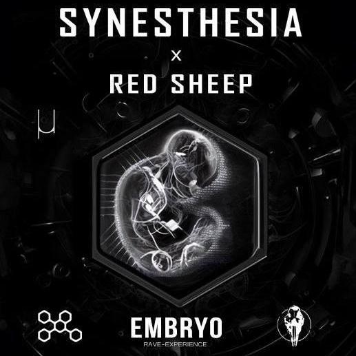 Embryo by Synesthesia & Red Sheep