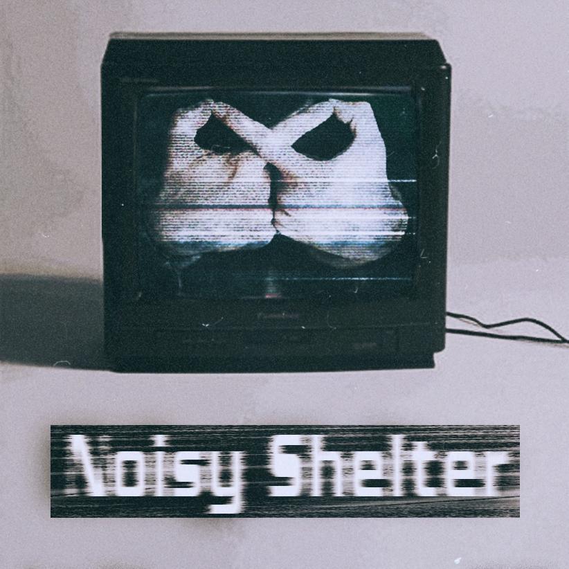 Noisy Shelter